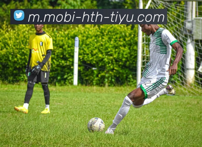 华体会体育发展历程